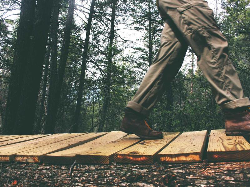 sudoku forcing chains screenshot 1